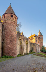 Wall Mural - Wertheim castle