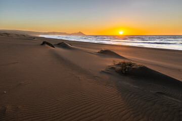 Wall Mural - an amazing sea view during sunset time of an awe sandy beach full of sand dunes till the infinite. i