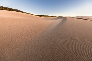 Wall Mural - sand dunes generating lines and patterns on the sandy ground. an awe natural pattern in a wild envir