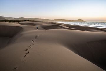Wall Mural - an amazing sea view during sunset time of an awe sandy beach full of sand dunes till the infinite. i