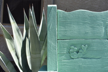 Canvas Print - Closeup shot of an Agave near wood-carved bench, great for background