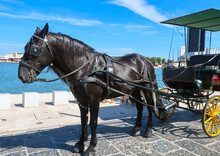A Beautiful Black Horse And Carriage Wait For Tourists As A Massive Cruise Ships Docks In Port In Brindisi, Italy, In The Puglia Region.