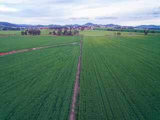 Sticker - landscape with fields