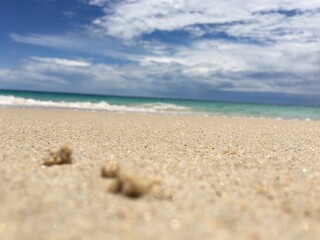 sand and sea