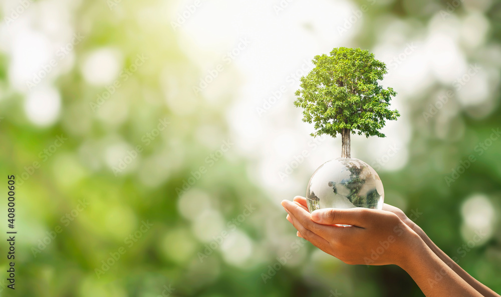 hand holding glass globe ball with tree growing and green nature blur ...