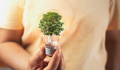 Wall Mural - hand holding lightbulb with tree insite. concept eco energy inovation