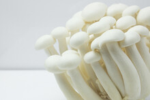Shimeji Mushroom Or White Beech Mushroom Isolated On White Background.