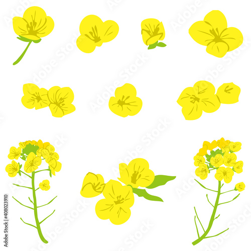 菜の花イラスト素材 Wall Mural Abstract Abstract Wallpaper Murals ちよちよ 菜の花イラスト素材 Wall Mural Abstract Abstract Wallpaper Murals ちよちよ