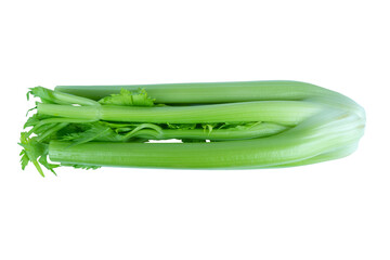 Bunch of celery sticks isolated on the white background. Celery branch bunch isolated on white. Fresh vegetable of celery sticks isolated