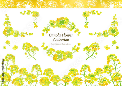 Plakat W Ramie 水彩風 菜の花イラスト素材セット Sprezyna Akwarela Kwiat Fototapety Foteks