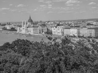 Wall Mural - budapest an der donau