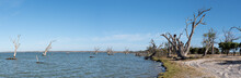 Lake Bonney Panorama, Barmera, South Australia. Popular Area For Camping And Water Sports. Australian Touring Destination.