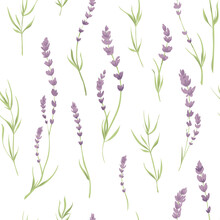 Seamless Pattern With Lavender. Vector Illustration In Watercolor Painting Style. Background For Packaging, Textiles, Printing Products With A Delicate Watercolor Drawing Of Flowers.