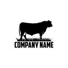 Cattle Angus Beef Livestock Logo Design Vector Illustration