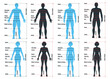 Female and male size chart anatomy human character, people dummy front and view side body silhouette, isolated on white, flat vector illustration.