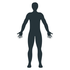 Wall Mural - Male human character, people man front side body silhouette, isolated on white, flat vector illustration.