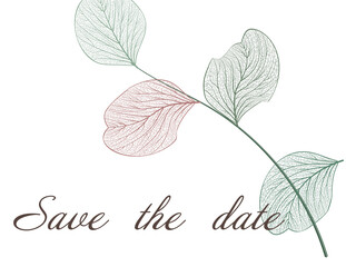 Wall Mural - Wedding invitation with leaves eucalyptus, isolated on white. Vector 