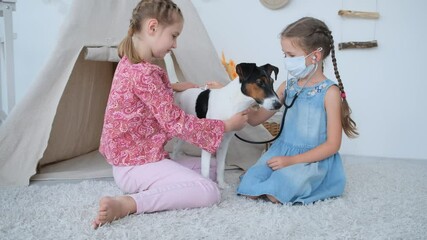 Wall Mural - Little girls playng with fox terrier dog, veterinarian doctor