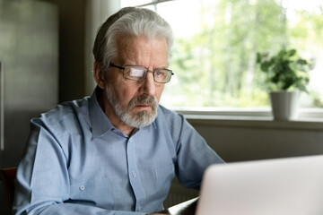 Wall Mural - Close up focused mature man wearing glasses using laptop, looking at computer screen, searching information, watching video, chatting with relatives in social network, elderly freelancer working