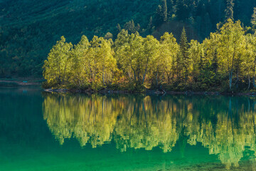 Wall Mural - autumn landscape with lake