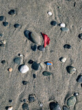 Fototapeta Morze - footprint on the sand