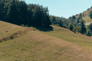 Wall Mural - landscape in the mountains