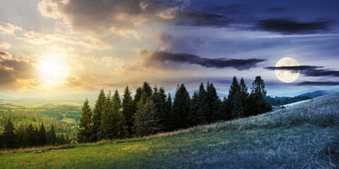 forest on the grassy meadow in mountains at night. beautiful countryside landscape in full moon ligh