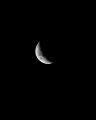 moon in the night