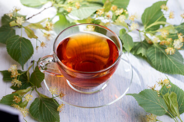 Glass cup of linden tea, and linden flowers on a white wooden table.