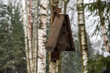 birdhouses for birds of different shapes and sizes in the winter forest