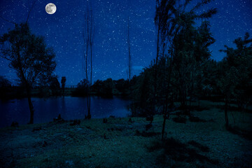 Wall Mural - milky way over a lake at summer night with clear skies under moonlight.
