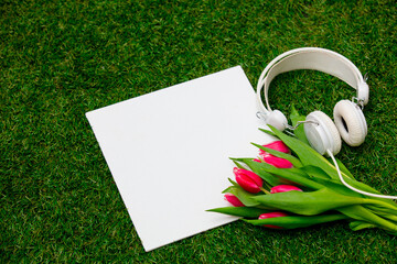 Wall Mural - Mockup banner and tulips with headphones on green grass