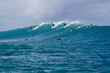 A group of Surfers riding a Wave in Hawaii
