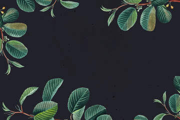 Wall Mural - Green leaf frame vector vintage style