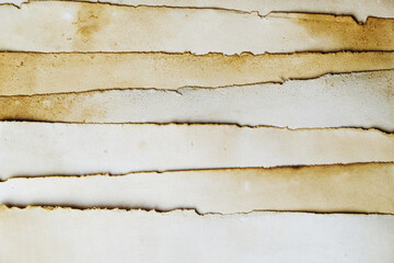 Wall Mural - Texture Torn old paper background