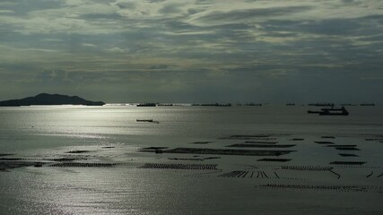 Wall Mural - Top view of the sea with many boats
