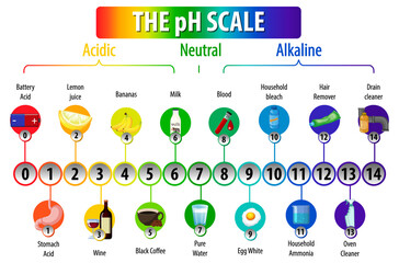 Wall Mural - the ph scale diagram on white background
