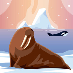 Sticker - orca whale and walrus animals north pole and iceberg