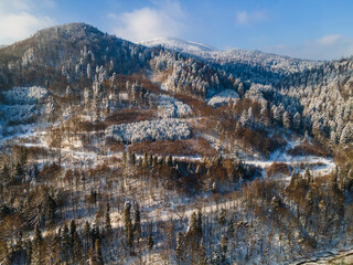 Wall Mural - Snowy Hills and Mountains in Bieszczady Park in Poland at Winter Season. Aerial Drone View