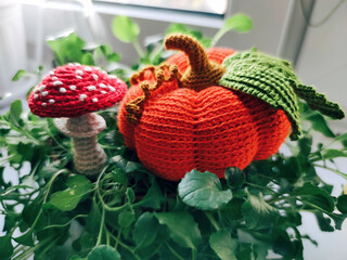 Pumpkin mushroom fly agaric amanita plant knitting crochet yarn thread hook craft creative closeup macro photo