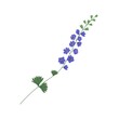 Delicate delphinium twig with violet flowers isolated on white background. Gorgeous botanical floral element. Colorful flat vector illustration