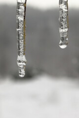 
two ice icicles in detail with blurred snowy background