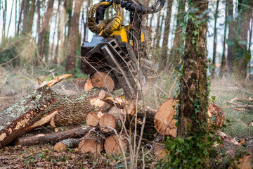 Poster - machine for cutting tree trunks used in the forestry industry