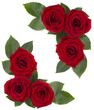 Red rose flowers corner design on white