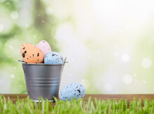 Easter Eggs In A Metal Bucket Outdoors