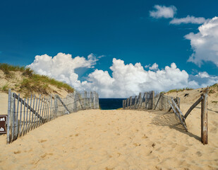 Poster - Path way to the beach at Cape Cod