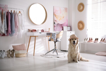 Sticker - Adorable Golden Retriever dog in stylish dressing room