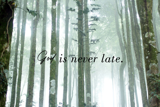 Wall Mural -  - Inspirational quote - God is never late. Faith, hope and believe in god concept with white misty background of  fog in the woods.