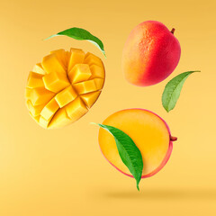 Wall Mural - Fresh ripe mango falling in the air