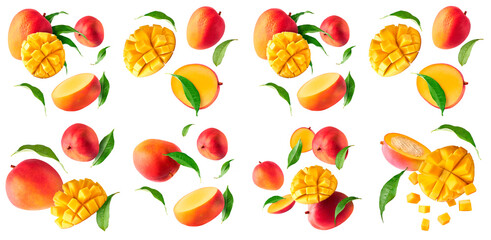 Wall Mural - Fresh ripe mango falling in the air